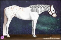 Horse Color:Bay Onyx Snowflake Varnish  Brindle