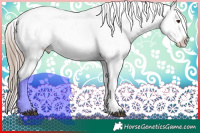 Horse Color:Liver Chestnut Sabino Appaloosa  and Liver Chestnut Sabino Appaloosa 