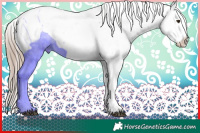 Horse Color:Liver Chestnut Sabino Snowcap  and Liver Chestnut Sabino Snowcap 