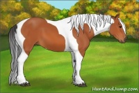 Horse Color:Bay Tobiano Frame 