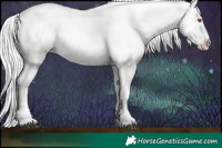 Horse Color:Silver Blue Chinchilla Ice Roan Appaloosa  Brindle