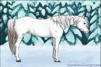 Horse Color:White Spotted Bay Snowcap Brindle