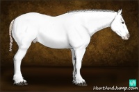 Horse Color:Chestnut Snowflake Varnish and Chestnut Snowflake Varnish