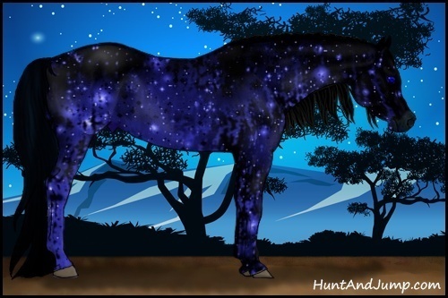 Horse Color:ERROR: UNKNOWN ANOMALY and ERROR: UNKNOWN ANOMALY