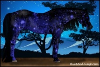 Horse Color:ERROR: UNKNOWN ANOMALY and ERROR: UNKNOWN ANOMALY