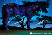 Horse Color:ERROR: UNKNOWN ANOMALY and ERROR: UNKNOWN ANOMALY