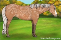 Horse Color:Silver Bay Ice Splash 