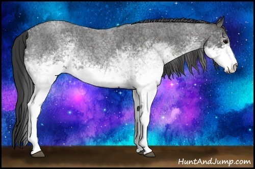 Horse Color:White Spotted Blue Roan Rabicano Brindle