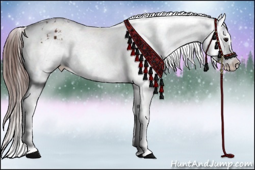 Horse Color:Bay Snowflake Varnish  and Bay Snowflake Varnish 