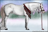 Horse Color:Bay Snowflake Varnish  and Bay Snowflake Varnish 