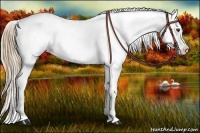 Horse Color:Chestnut Blanket and Chestnut Blanket