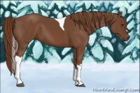 Horse Color:Chestnut Tobiano
