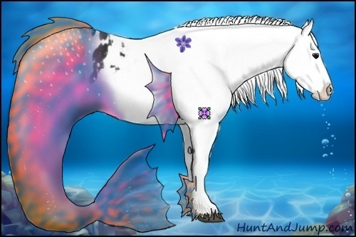 Horse Color:Black Appaloosa  Brindle