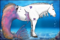 Horse Color:Black Appaloosa Brindle