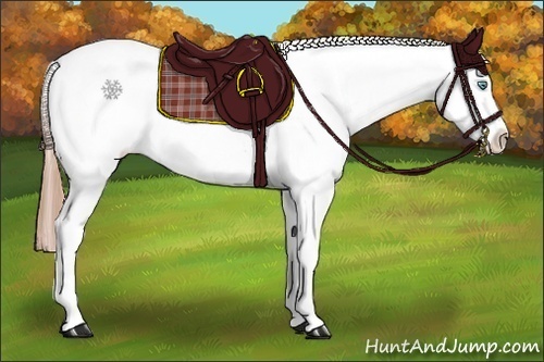 Horse Color:Buckskin Pearl Tobiano Blanket Rabicano  Brindle