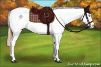 Horse Color:Buckskin Pearl Tobiano Blanket Rabicano  Brindle