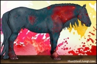 Horse Color:ERROR: UNKNOWN ANOMALY and ERROR: UNKNOWN ANOMALY