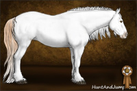 Horse Color:Black Pearl Appaloosa  and Black Pearl Appaloosa 