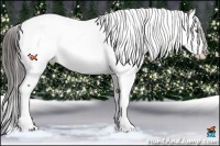 Horse Color:Liver Chestnut Appaloosa and Liver Chestnut Appaloosa