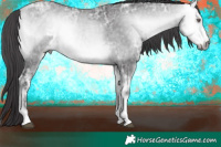 Horse Color:Buckskin Chinchilla Ice Onyx Tobiano Rabicano  Brindle