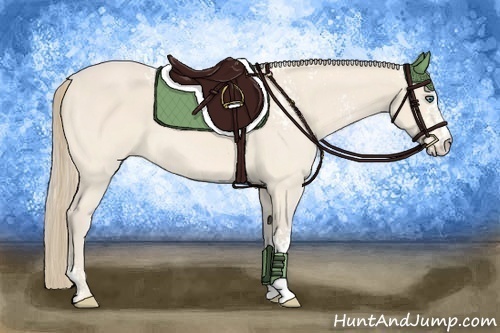 Horse Color:White Spotted Perlino Sabino 