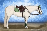Horse Color:White Spotted Perlino Sabino