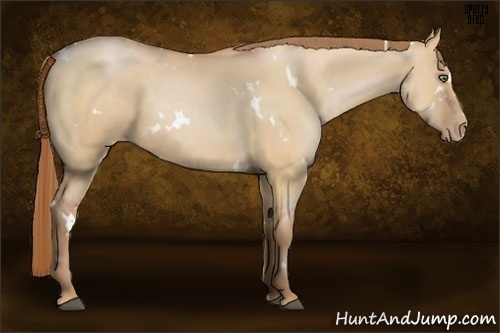 Horse Color:White Spotted Bay Pearl Dun 