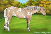 Horse Color:White Spotted Silver Black Pearl