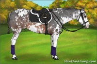 Horse Color:Brown Sabino Blanket 