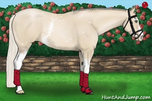 Horse Color:White Spotted Palomino Pearl 