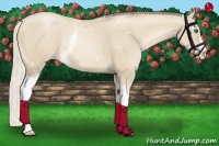 Horse Color:White Spotted Palomino Pearl 