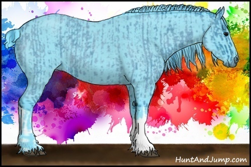 Horse Color:Watercolor Blue Roan  and Watercolor Blue Roan 