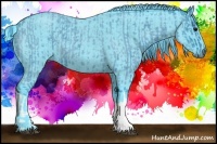 Horse Color:Watercolor Blue Roan and Watercolor Blue Roan