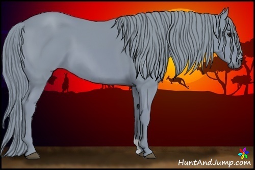 Horse Color:Watercolor Black 