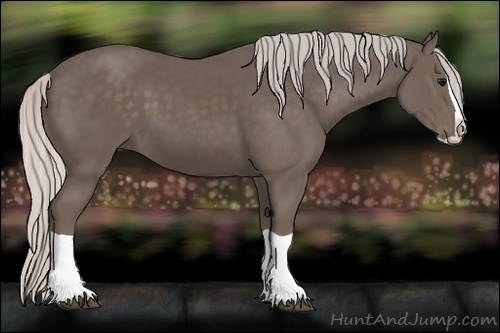 Horse Color:Silver Black Splash