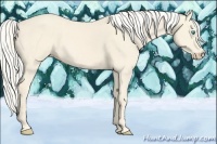 Horse Color:Cremello 