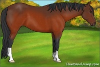 Horse Color:Brown 