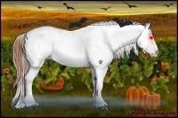Horse Color:Bay Splash Tobiano Varnish and Bay Splash Tobiano Varnish