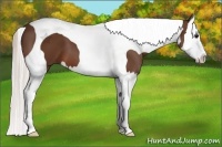 Horse Color:Silver Brown Splash Tobiano 