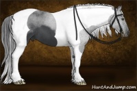 Horse Color:Blue Roan Tobiano Frame 