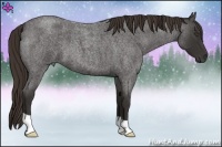 Horse Color:Liver Red Roan 