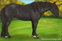 Horse Color:Liver Chestnut Frame 