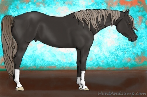 Horse Color:Liver Chestnut Frame 