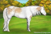 Horse Color:White Spotted Silver Classic Champagne Tobiano 