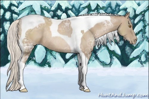 Horse Color:Silver Black Ice Pearl Tobiano Rabicano 