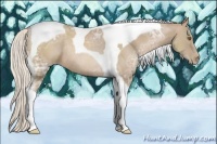 Horse Color:Silver Black Ice Pearl Tobiano Rabicano 
