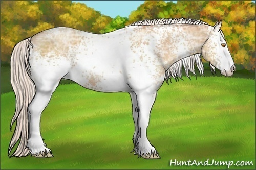 Horse Color:White Spotted Silver Classic Champagne Ice Sabino 