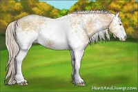 Horse Color:White Spotted Silver Classic Champagne Ice Sabino