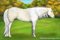 Horse Color:Silver Classic Champagne Ice Pearl Dun Sabino Splash Tobiano 