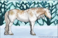 Horse Color:White Spotted Silver Black Pearl 